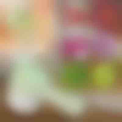 Tritatutto manuale ed elettrico 4 in 1 | ROTOCHOP