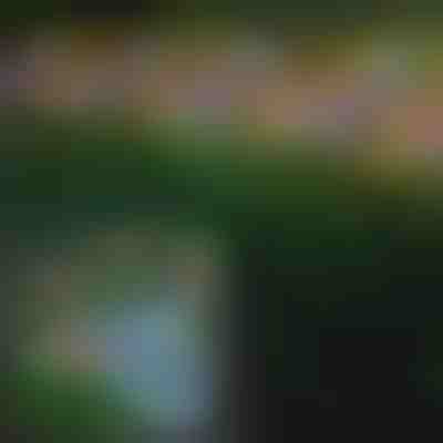 Luci solari a farfalla per esterni | FLUTIX