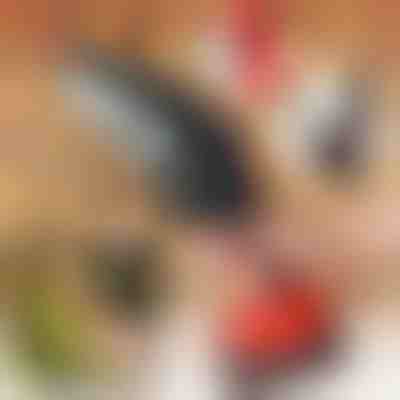 Sega a mano elettrica BRENCHIE