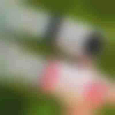 Pistola a bolle LED con 69 fori | BUBBLEPUFF