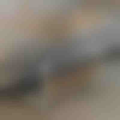 Tavolo portatile | EVOSTUL