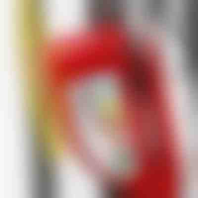 Bloccadisco con allarme | ALERTOLOCK