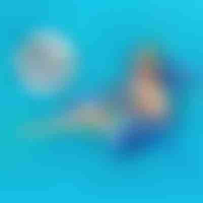 Comfort in piscina per ogni fuga – Set da 2 pezzi | POOLYRA